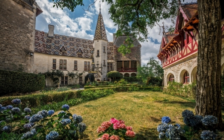 Castle in France - flowers, France, buildings, castle