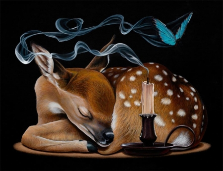 Sleeping deer - brown, candle, night, jacub gagnon, black, pictura, fantasy, caprioara, sleep, deer, painting, butterfly, art