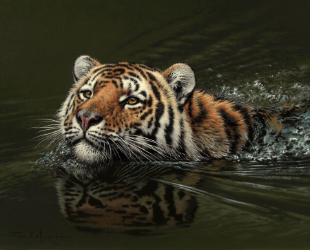 Bengal crossing - water, summer, tiger, pictura, animal, painting, tigru, art, vara, fuz caforio