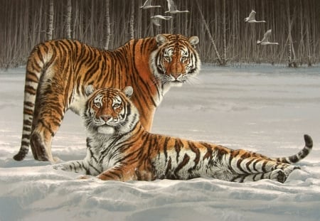 Siberian Splendor - animal, winter, tiger, bird, iarna, fuz caforio, siberian, art, pictura, painting, couple, snow, tigru