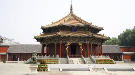 Chinese Dragon Temple - building, dragon, temple, chinese, religious