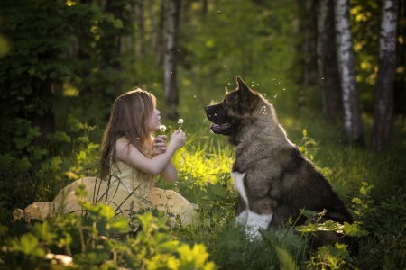 Little Girl - mood, girl, forest, dog