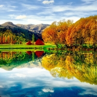 Autumn  Mountain and Tree Reflection in the Lake