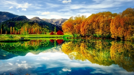 Autumn  Mountain and Tree Reflection in the Lake - lake, autumn, mountain, reflection, tree