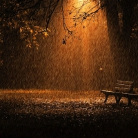 the rain in autumn