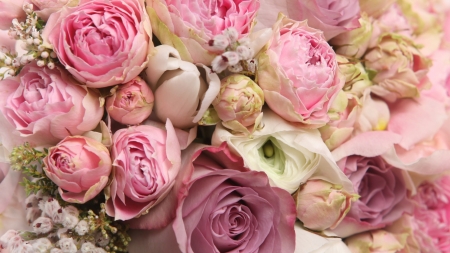 Flowers - skin, rose, texture, pink, vara, ranunculus