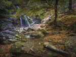 Forest waterfall