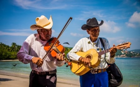 Musicians - men, guitar, violin, musicians, hats