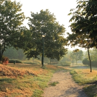 Park at Morning