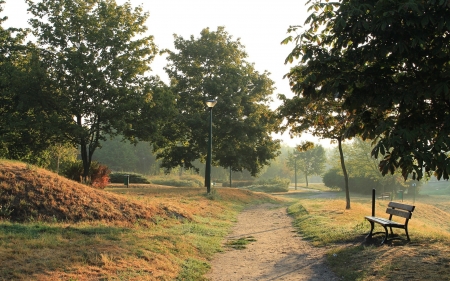 Park at Morning - path, trees, bench, morning, walkway, park