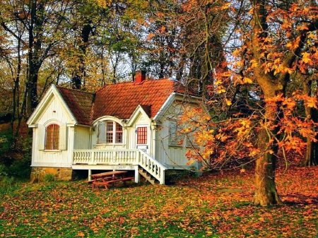 Beautiful house - Trees, Forest, Autumn, House