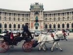 Hofburg Palace, Vienna