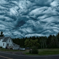 cloudy forest