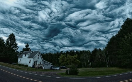 cloudy forest - fun, trees, nature, forest, cool, cloudy