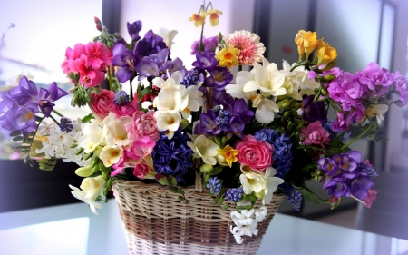 Freesias - basket, colorful, spring, freesia, flower