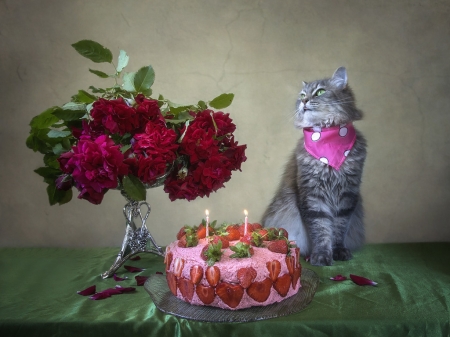 :-) - strawberry, trandafir, food, flower, pink, sweet, birthday, cat, carmencitazapacita, red, fruit, pisici, rose, dessert, cake, daykiney