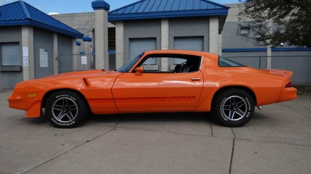 1981 Chevrolet Camaro Z28 - chevrolet, camaro, old-timer, car, muscle, z28