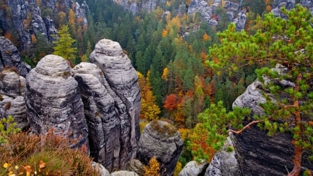 Elbe Sandstone Mountains and Forest in Saxony, Germany - Elbe, Mountains, Germany, Sandstone Moun, Saxony, Forest, Sandstone