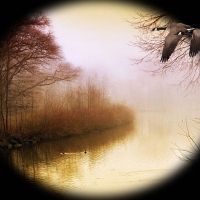 Misty Autumn Lake