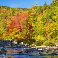 Colorful Fall Trees by Rocky River Stream