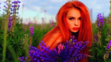 Lavender-Field-Oil-Painting - beautiful, red, model, outdoors