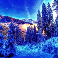 Cold Snowy Winter Landscape