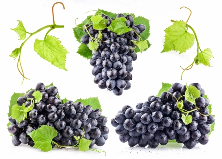 Grapes - struguri, white, card, green, leaf, grapes, black, fruit