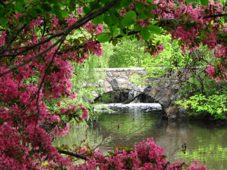 Garden - nature, bridge, flower, river