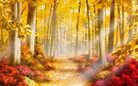 Autumn Path