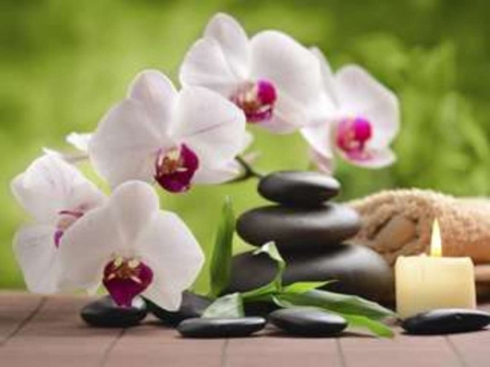 â¤ï¸ - candle, flowers, stones, photograph