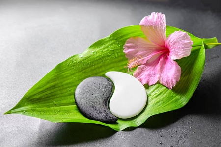 â¤ï¸ - hibiscus, leaf, stones, flower