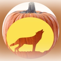 Wolf And Pumpkin