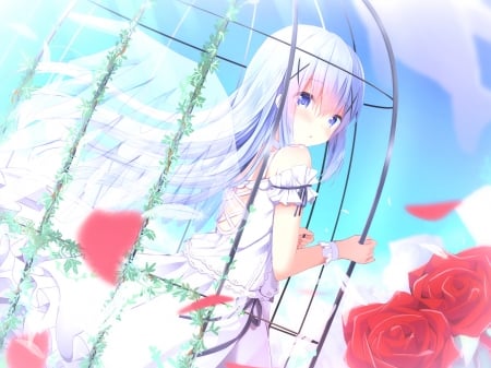 Caged angel - angel, girl, wings, rose, cage, white, red, petals, blue, anime, manga, flower