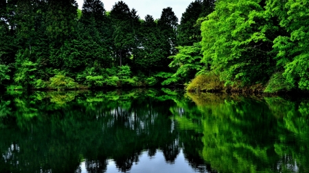 Fujinomiya Park - japan, nature, green, lake, forest, park, japanese