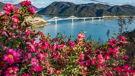 Amazing View in Japan - japan, scenery, view, flowers, bridge, ocean, japanese