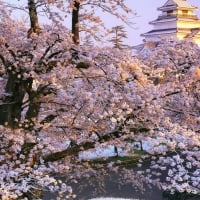 Aizuwakamatsu Castle