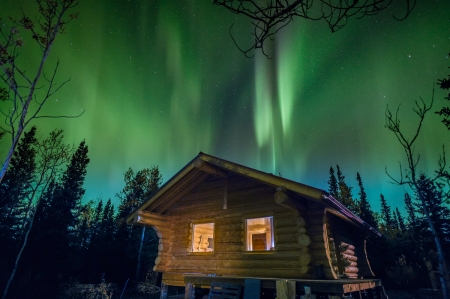 Northern Lights in Yukon Region - sky, lights, trees, cabin, night