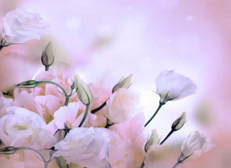 Flowers - Pink, Pastel, Nature, Flowers