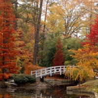Autumn Duke New York