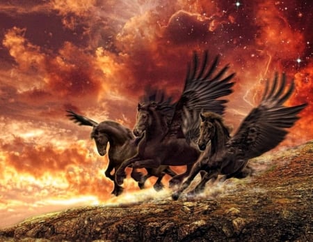 Night is coming - clouds, horses, fiery, pegasus, sky