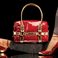 Red And Gold With Shoes And Purse