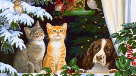 Christmas friends - puppy, cat, dog, animal, kitten, christmas