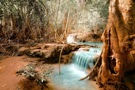 Jungle Waterfall - waterfall, trees, nature, jungle