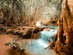 Jungle Waterfall