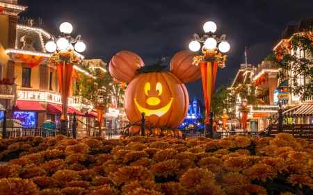 USA Disneyland Park House Pumpkins - disney land, pumpkins, house, usa