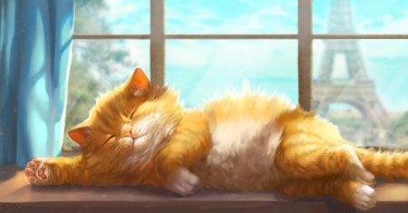 Sleeping cat - cat, fantasy, kitten, sleep, art, window, vera velichko, luminos, orange