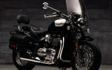 2018 triumph bonneville speedmaster - motorcyclle, bonneville, speedmaster, triumph