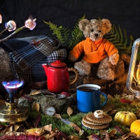 Still Life Pumpkin Coffee Teddy Bear