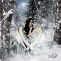 Lovely Snow Fairy