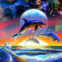 Dolphins party